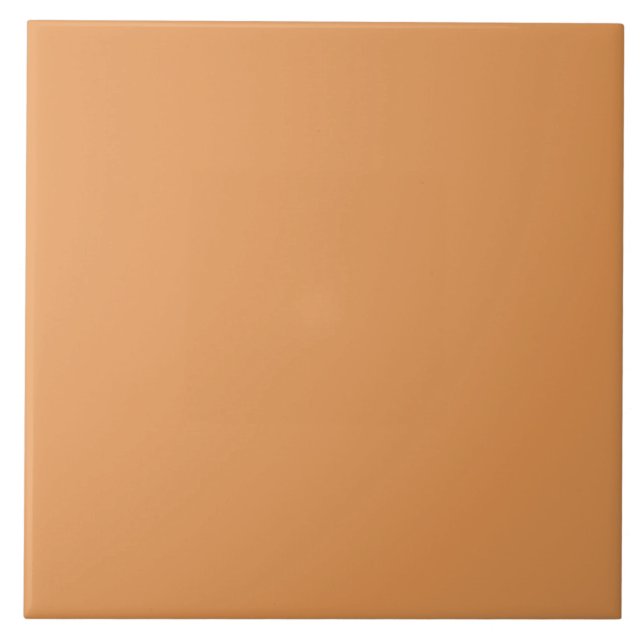 Azulejo De Cerâmica Pumpkin Spice Color | #E69855  (Frente)