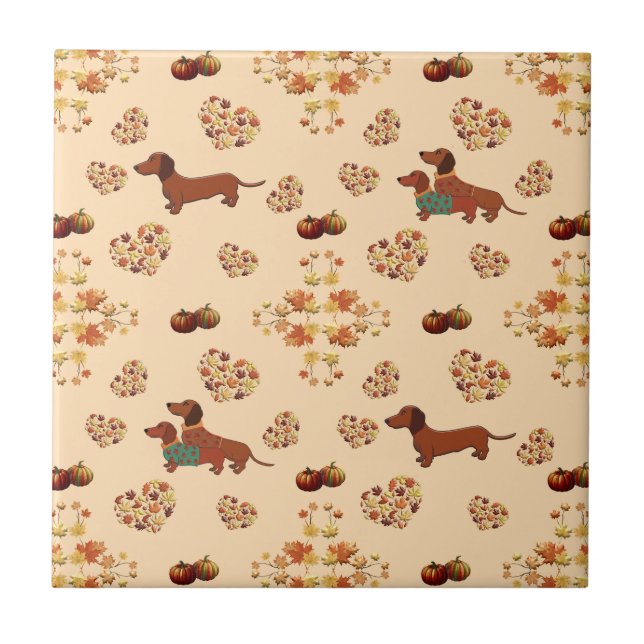 Azulejo De Cerâmica Pumpkin Spice Dachshund Nice (Frente)
