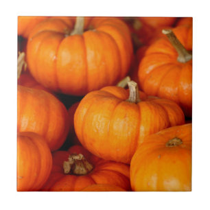 Azulejo De Cerâmica Pumpkins