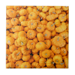 Azulejo De Cerâmica Pumpkins de Colheita de Pequeno Laranja