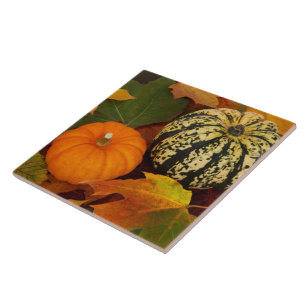 Azulejo De Cerâmica Pumpkins e Folhas