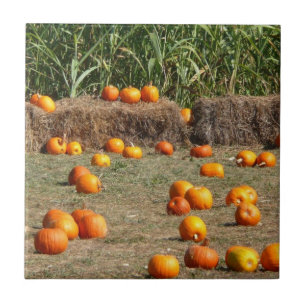 Azulejo De Cerâmica Pumpkins, Milho e Fotografia de Colheita de outono