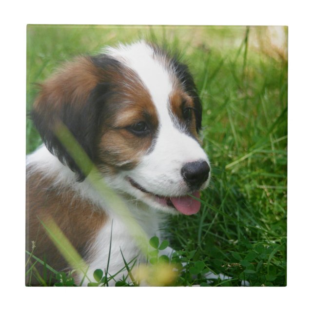 Azulejo De Cerâmica Puppy (Frente)