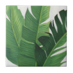 Azulejo De Cerâmica Pura Vida - Folhas Tropicais<br><div class="desc">"Pura Vida II" Grace Popp. Apresenta vegetação tropical contra fundo suave.</div>