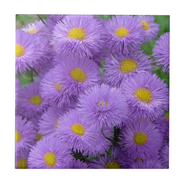 Azulejo De Cerâmica Purple Floral (Frente)