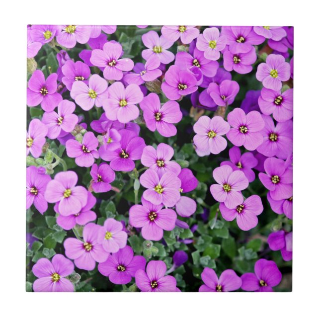 Azulejo De Cerâmica Purple Flowers (Frente)