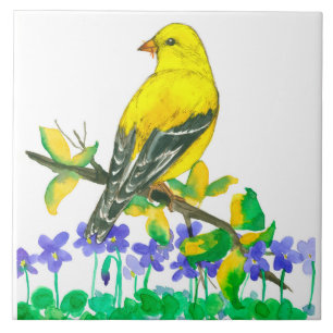 Azulejo De Cerâmica Púrpura Violetas Americanas Goldfinch Amarelo