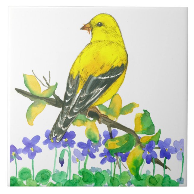 Azulejo De Cerâmica Púrpura Violetas Americanas Goldfinch Amarelo (Frente)