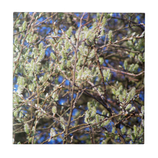 AZULEJO DE CERÂMICA  PUSSY WILLOW