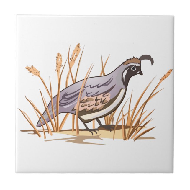 Azulejo De Cerâmica Quail (Frente)