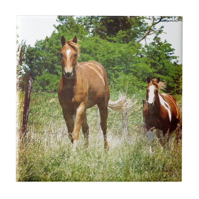 Azulejo De Cerâmica Quando Chamado, Dois Cavalos (Frente)