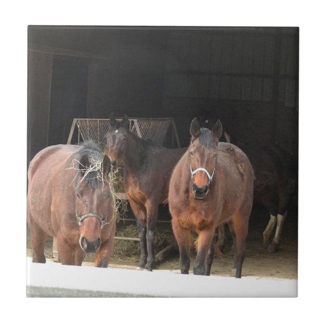 Azulejo De Cerâmica Quatro Cavalos (Frente)