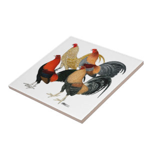 Azulejo De Cerâmica Quatro Gamecocks