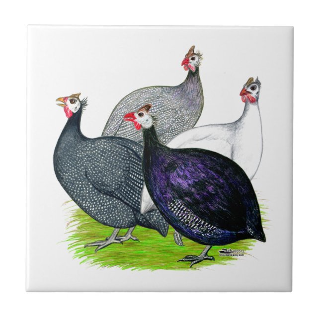 Azulejo De Cerâmica Quatro Guinés (Frente)