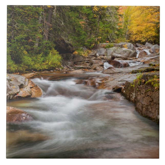 Azulejo De Cerâmica Queda em Jefferson Brook, New Hampshire (Frente)