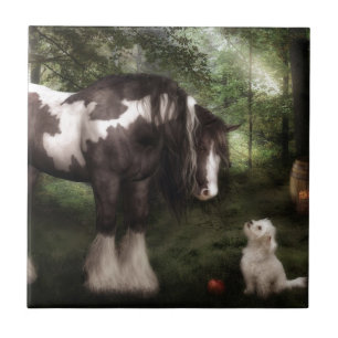 Azulejo De Cerâmica Queira jogar