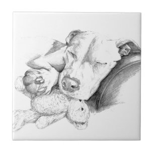 Azulejo De Cerâmica Quem tem telhados de vidro, não atira pedras aos