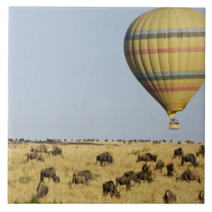 Azulejo De Cerâmica Quênia, Masai Mara. Turistas passeiam de balão de