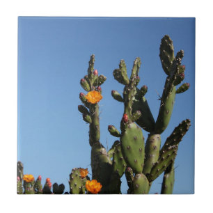 Azulejo De Cerâmica Quente África Desert Cactus Plant Prickly Pear Flo