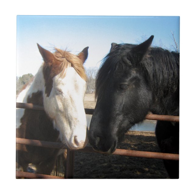 Azulejo De Cerâmica Queridos (Frente)