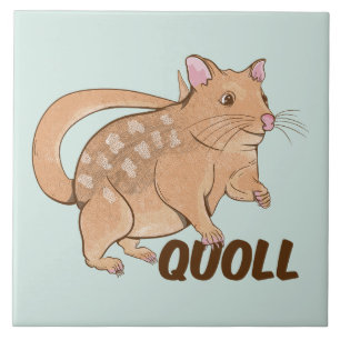 Azulejo De Cerâmica Quoll Marsupial Australiano