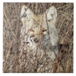 Azulejo De Cerâmica R21 Coyote "Vigiando você"