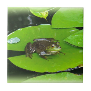 Azulejo De Cerâmica Rã-gigante em Lilypads