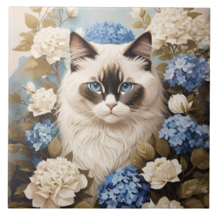 Azulejo De Cerâmica Ragdoll Cat Com Flores De Hydrangea Azuis