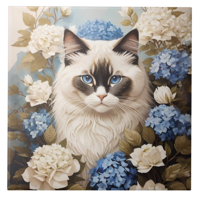 Azulejo De Cerâmica Ragdoll Cat Com Flores De Hydrangea Azuis (Frente)