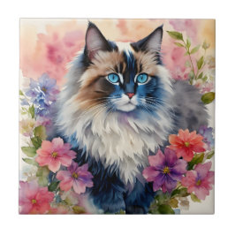 Azulejo De Cerâmica Ragdoll Cat Retrato Floral