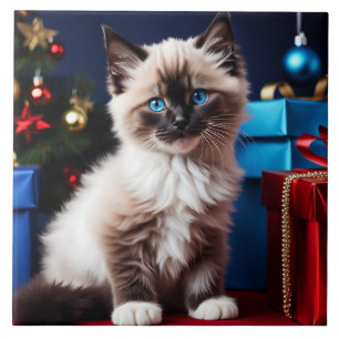 Azulejo De Cerâmica Ragdoll Kitten Natal Presente