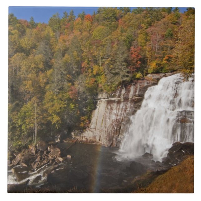 Azulejo De Cerâmica Rainbow Falls in Gorges State Park (Frente)