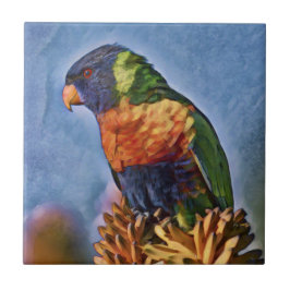 Azulejo De Cerâmica Rainbow Lorikeet Parrot Bird