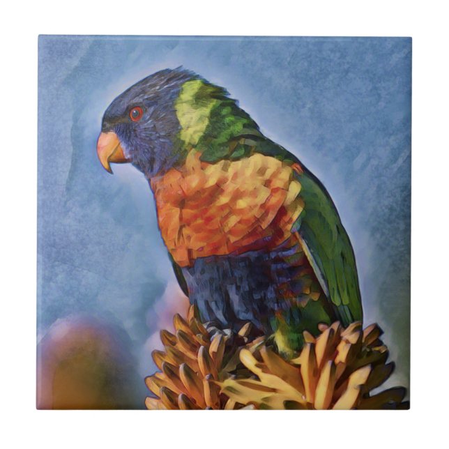 Azulejo De Cerâmica Rainbow Lorikeet Parrot Bird (Frente)