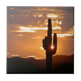 Azulejo De Cerâmica Raios do Saguaro