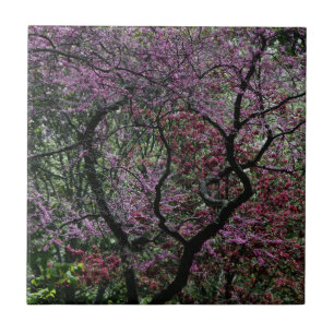 Azulejo De Cerâmica Ramais e Blossomas
