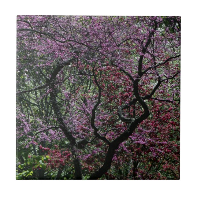 Azulejo De Cerâmica Ramais e Blossomas (Frente)