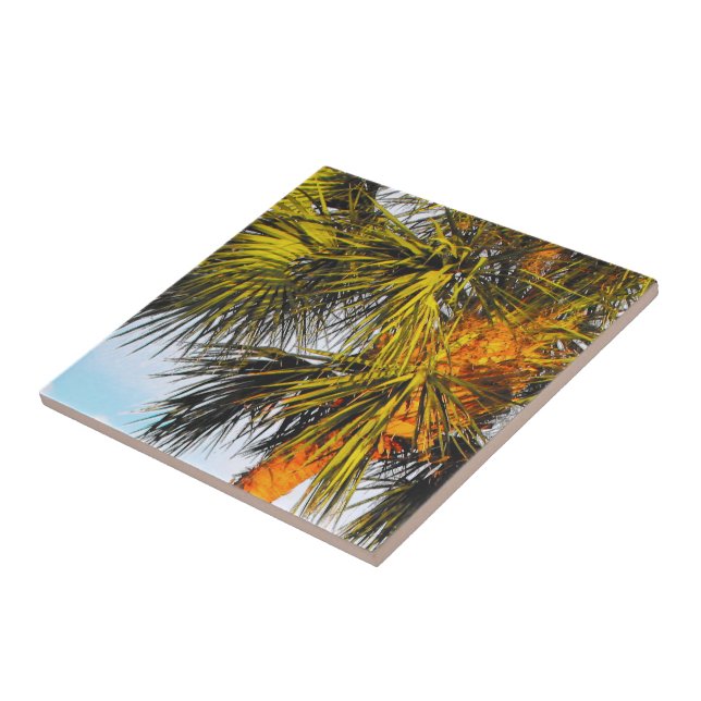 Azulejo De Cerâmica Ramificações da Árvore Palm, Sol Tarde (Lateral)