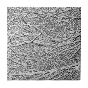 Azulejo De Cerâmica Ramificações de Neve