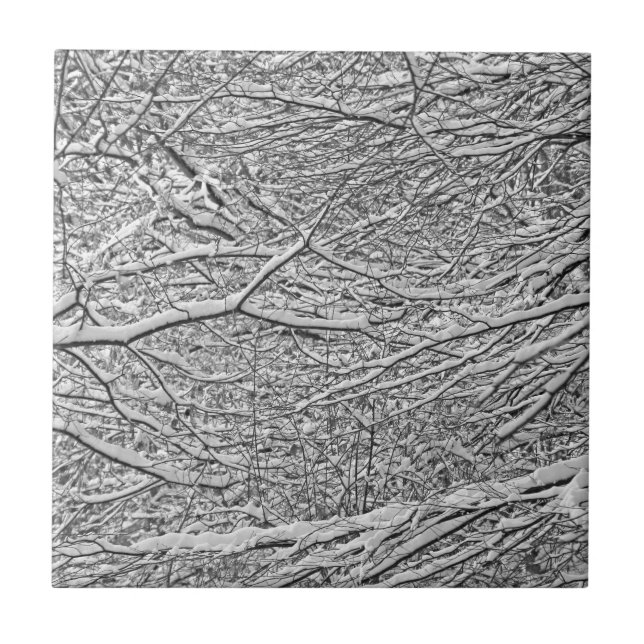 Azulejo De Cerâmica Ramificações de Neve (Frente)
