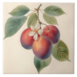 Azulejo De Cerâmica Ramo de Fruta Ameixa Vermelha Vintage com Flor de