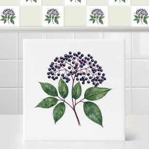 Azulejo De Cerâmica Ramo de Fruta Elderberry de Outono Selvagem em Aqu