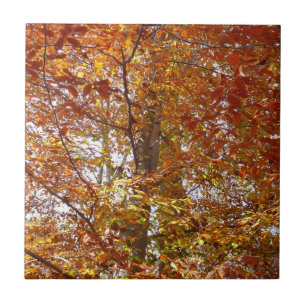 Azulejo De Cerâmica Ramos de Folhas Laranja Outono Natureza