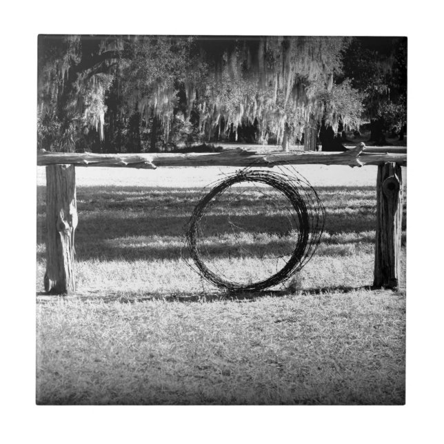 Azulejo De Cerâmica Rancho de gado (Frente)