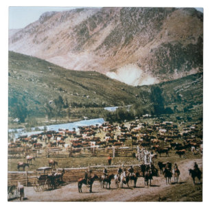 Azulejo De Cerâmica Rancho de gado, Colorado, 1899 (foto)