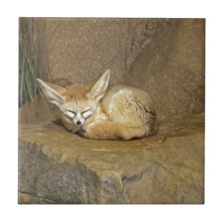 Azulejo De Cerâmica raposa do fennec