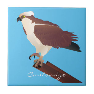 Azulejo De Cerâmica Raptor Osprey Hawk Thunder_Cove