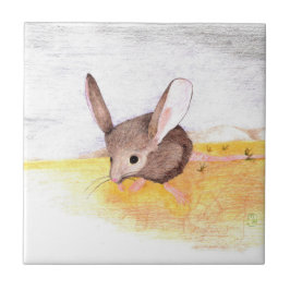 Azulejo De Cerâmica Rato do Deserto