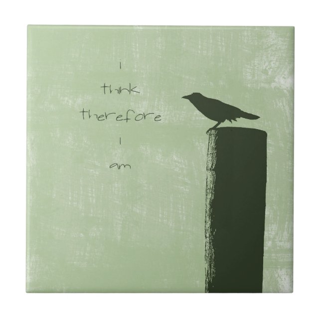 Azulejo De Cerâmica Raven (Frente)