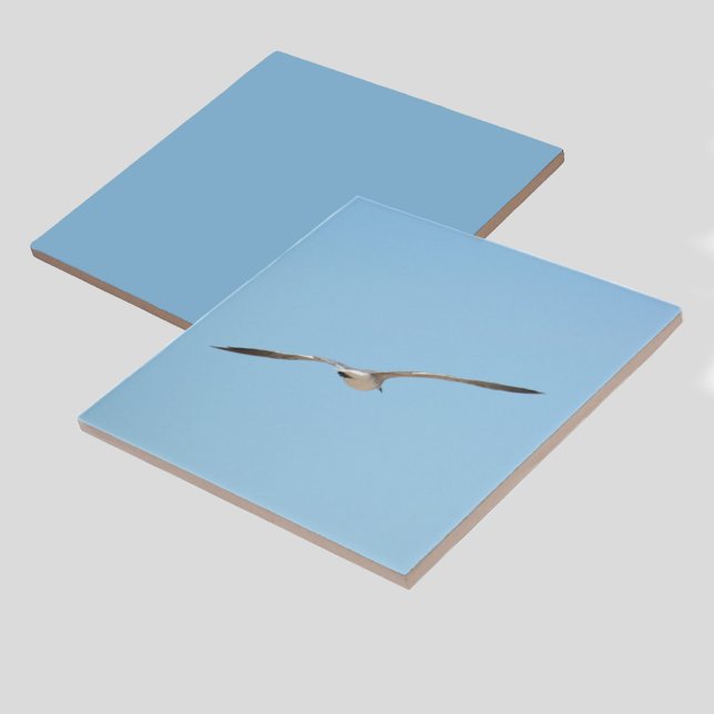 Azulejo De Cerâmica Real Tern na Costa do Céu Azul de Voo (1 of 7 coordinating bird in flight coastal sky blue ceramic tiles)